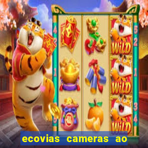 ecovias cameras ao vivo santos